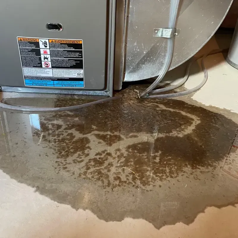 Appliance Leak Cleanup in Pimmit Hills, VA